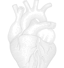 image-322102-HEART.png